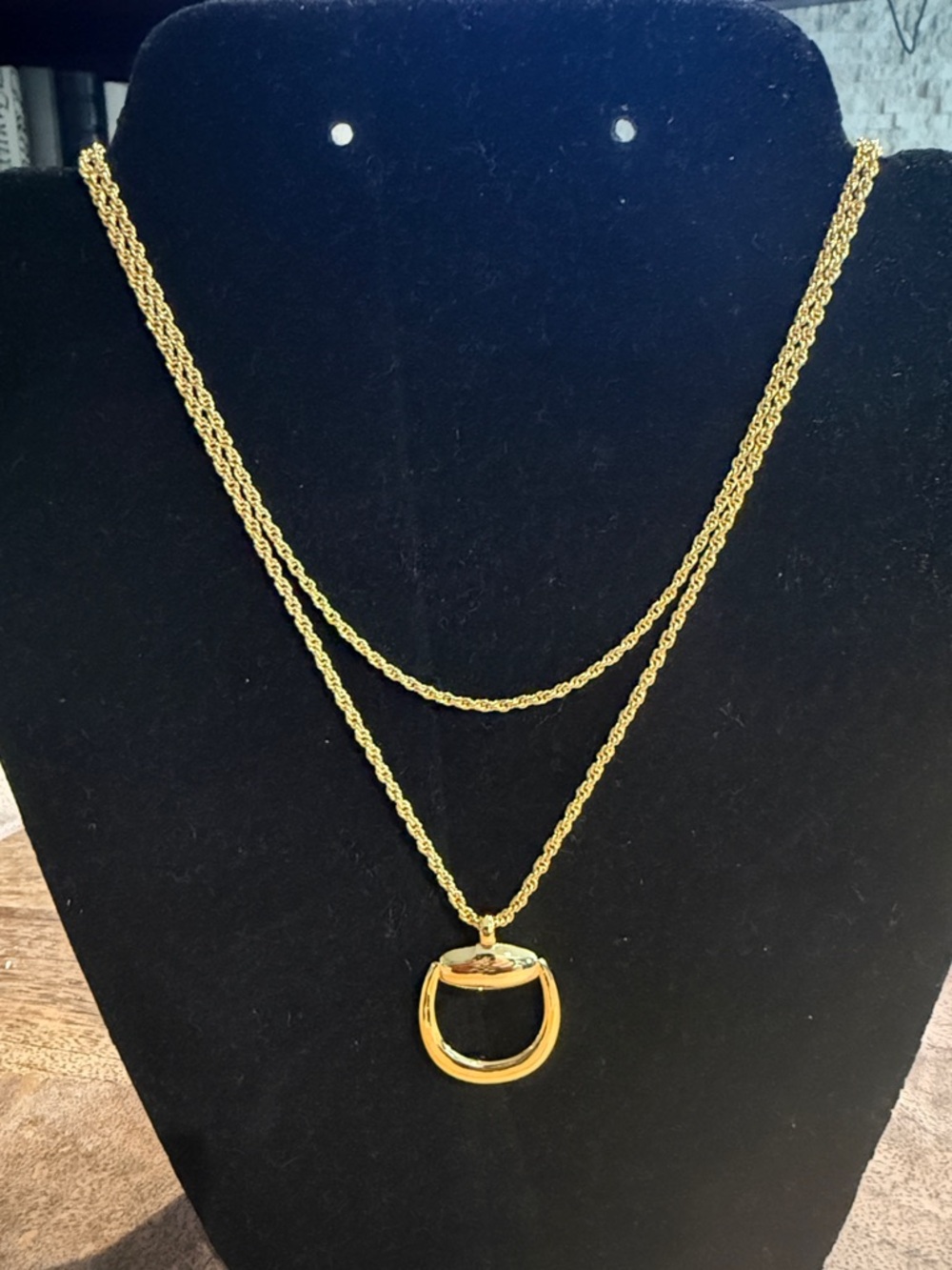 Frasier Sterling Layered Gold-Tone Rope Necklace with Circular Pendant NWT